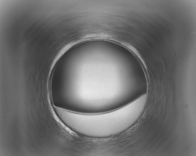 X0000060231389200510280926