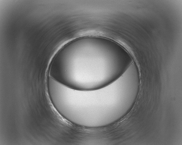 X0000060231392200510280926