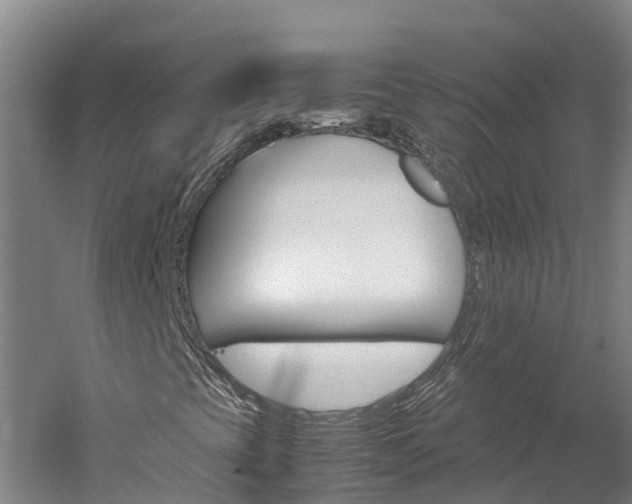 X0000060231393200510280925
