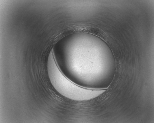 X0000060231394200510280925