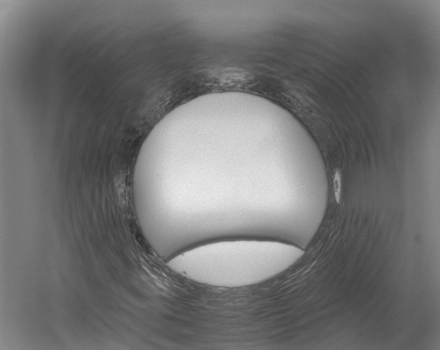 X0000060231395200510280925