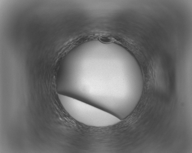 X0000060231397200510280925