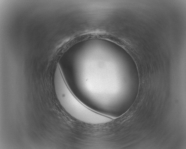 X0000060231398200510280925
