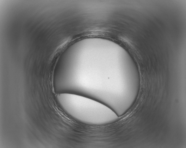 X0000060231403200510280926