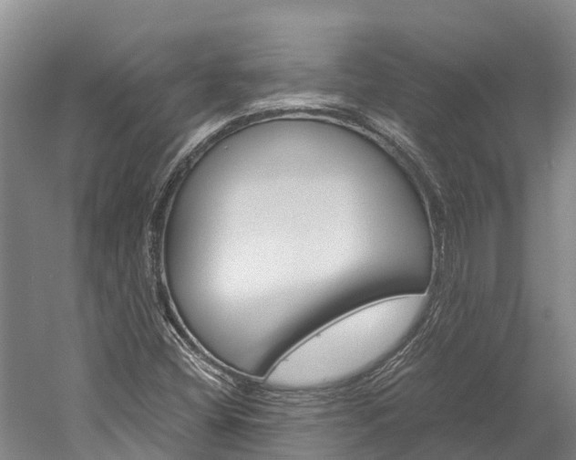X0000060231404200510280926