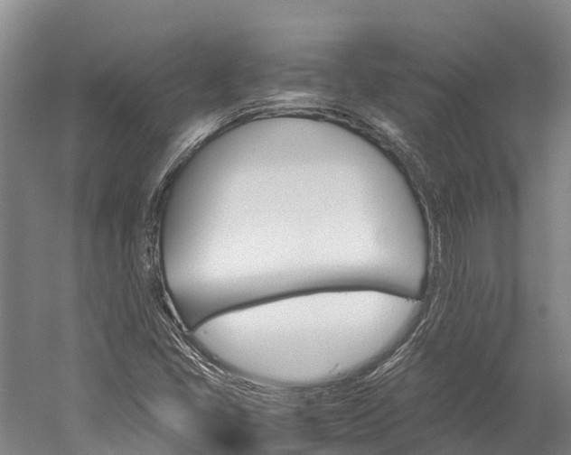 X0000060231405200510280926