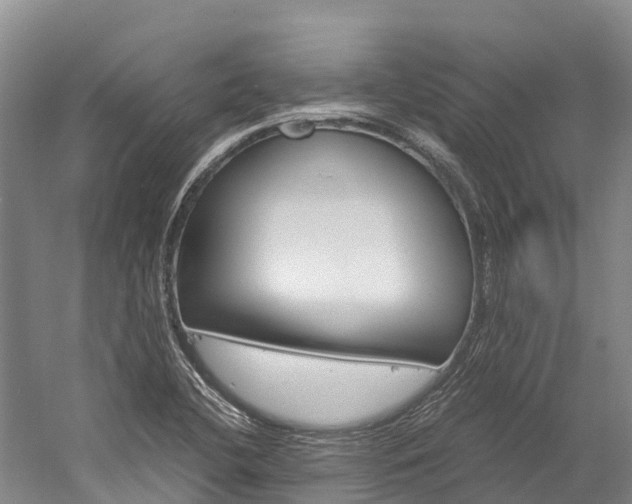X0000060231412200510280926