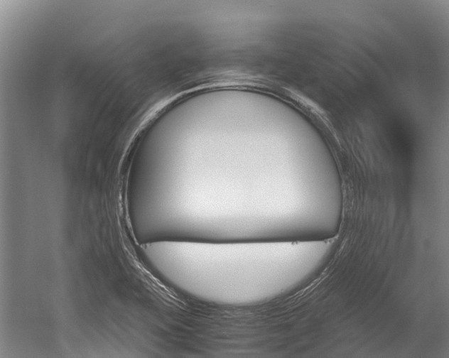 X0000060231415200510280926