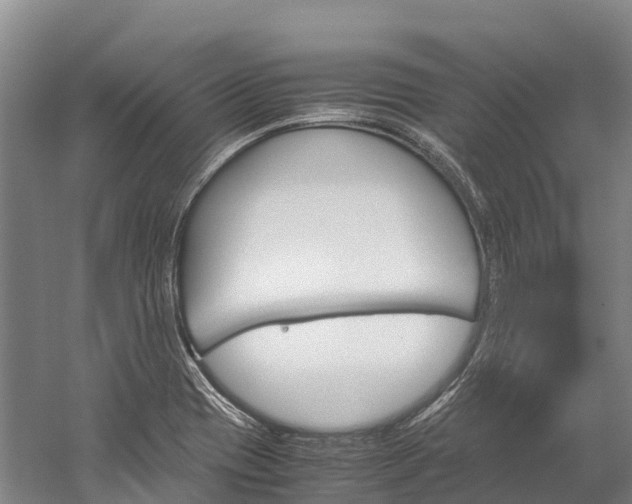 X0000060231417200510280926