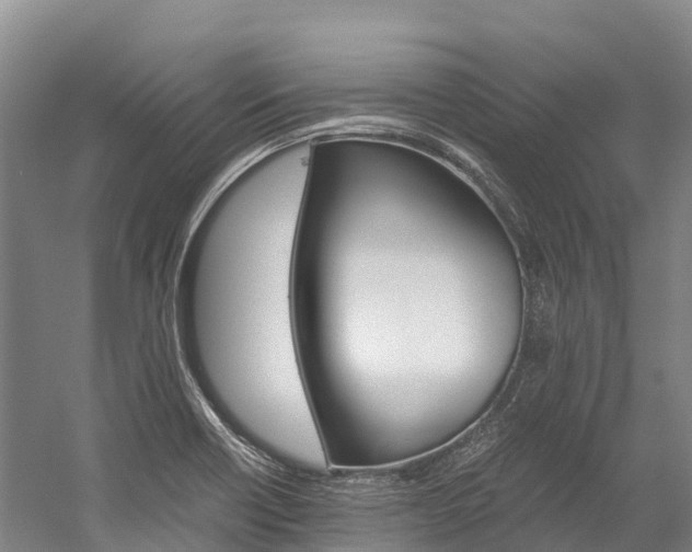 X0000060231418200510280926