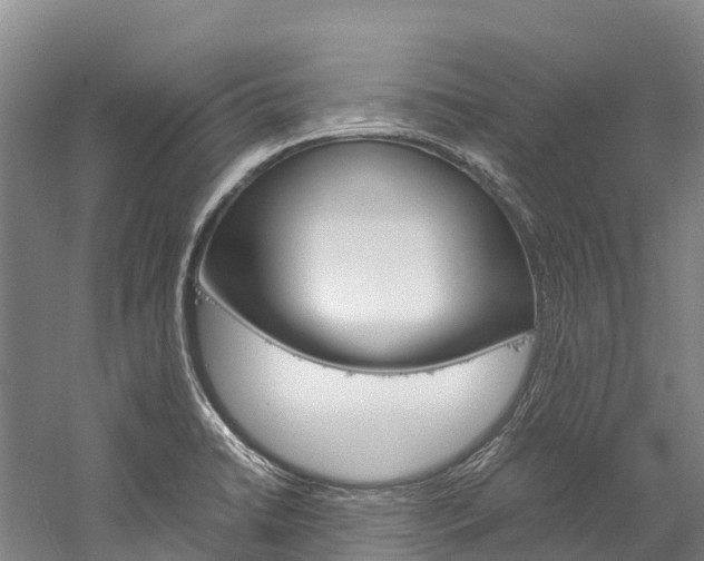 X0000060231422200510280926
