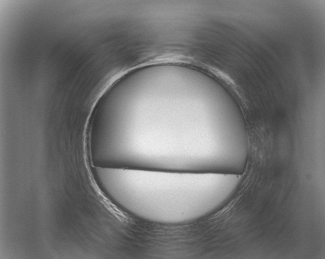 X0000060231423200510280926