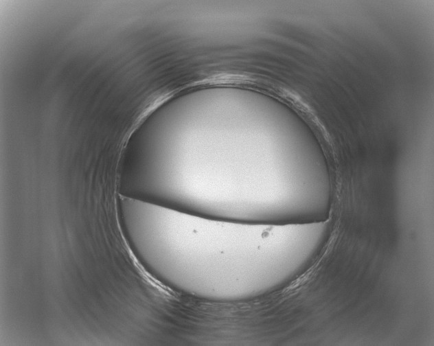 X0000060231425200510280926