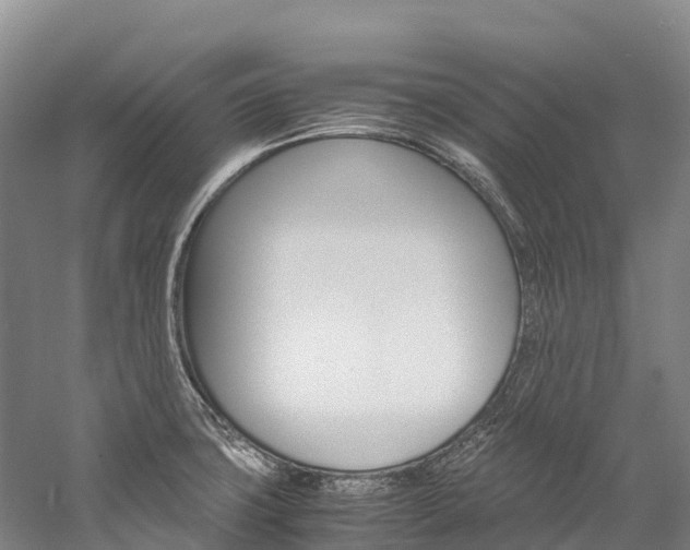X0000060231427200510280926