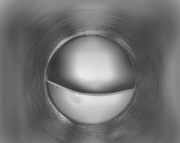 X0000060231428200510280926