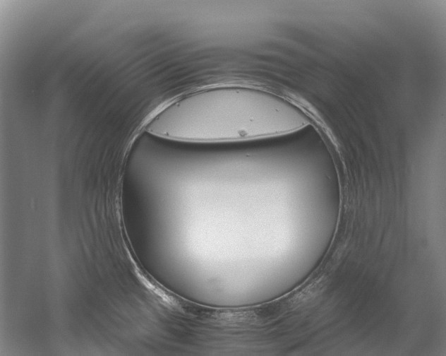 X0000060231433200510280926
