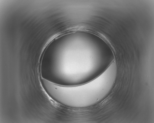 X0000060231434200510280926