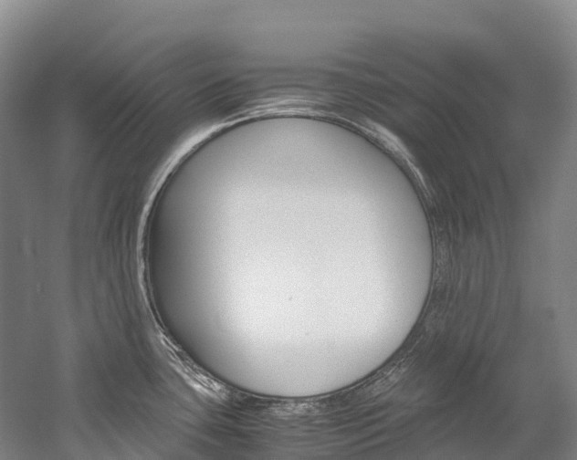 X0000060231435200510280926