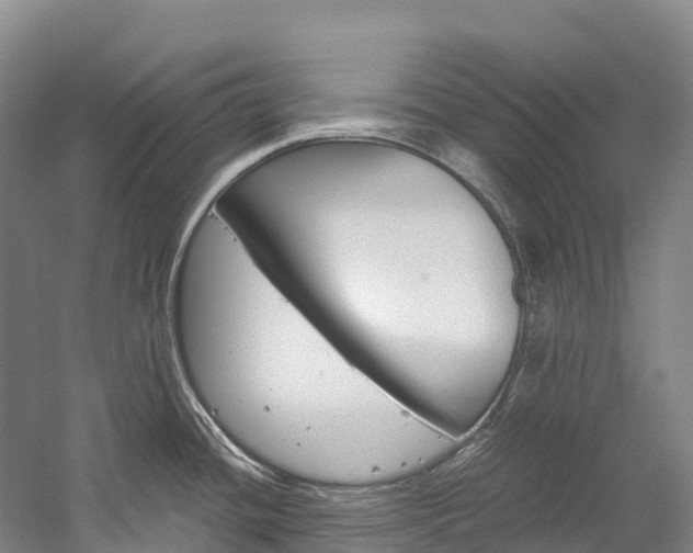 X0000060231436200510280926