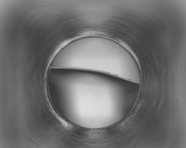 X0000060231437200510280926