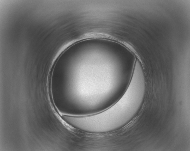 X0000060231438200510280926