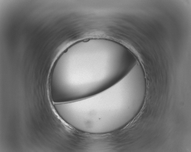 X0000060231440200510280926