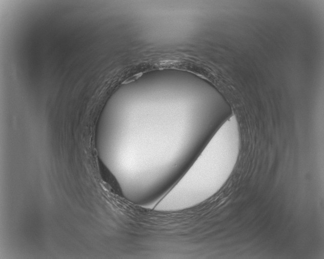 X0000060231441200510280925