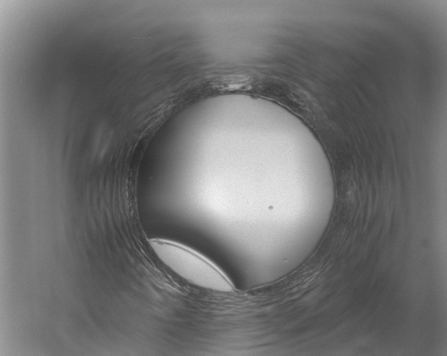 X0000060231442200510280925