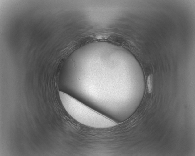 X0000060231443200510280925