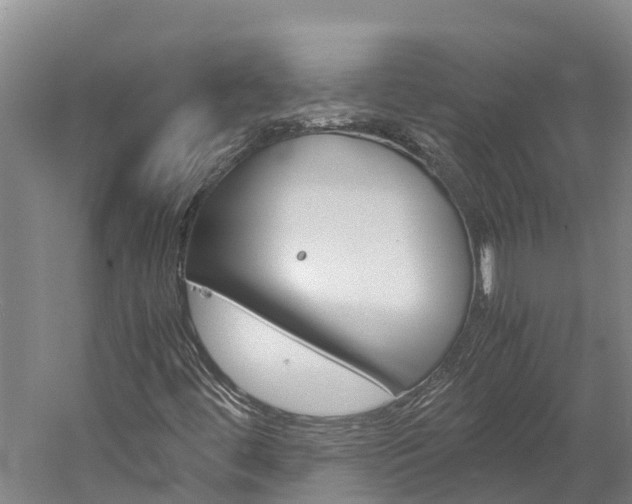 X0000060231444200510280925