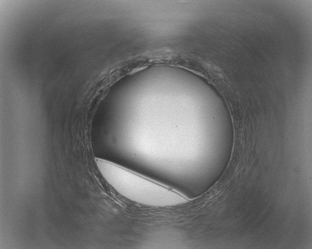 X0000060231445200510280925