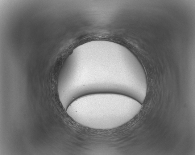 X0000060231447200510280925