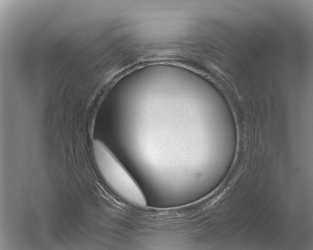 X0000060231449200510280925