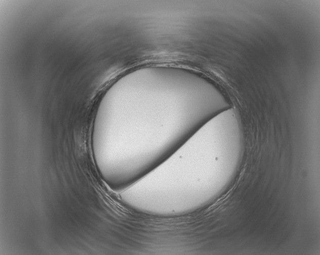 X0000060231451200510280925