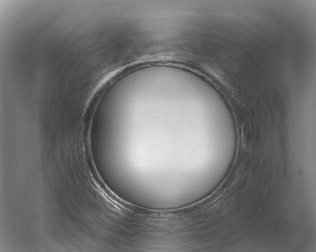 X0000060231452200510280925