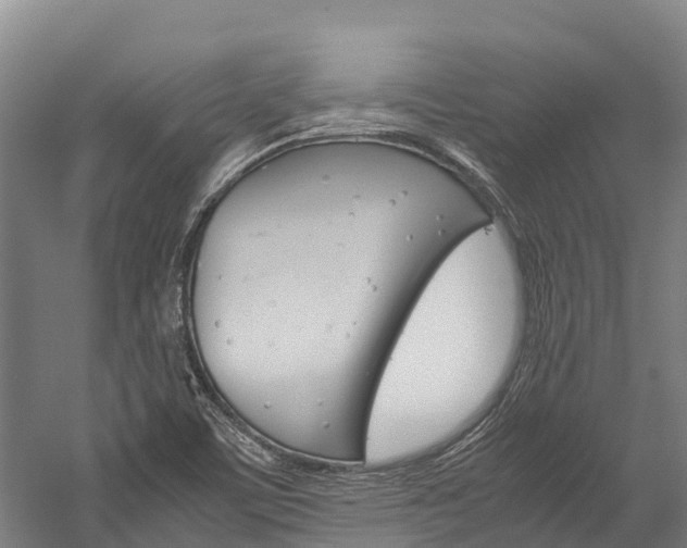 X0000060231459200510280925