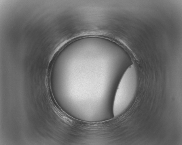 X0000060231460200510280925