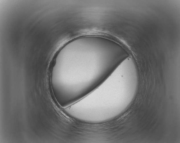X0000060231463200510280925