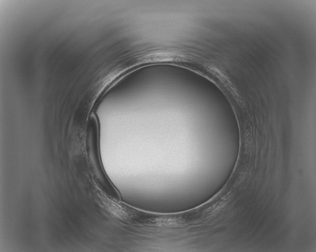 X0000060231465200510280925