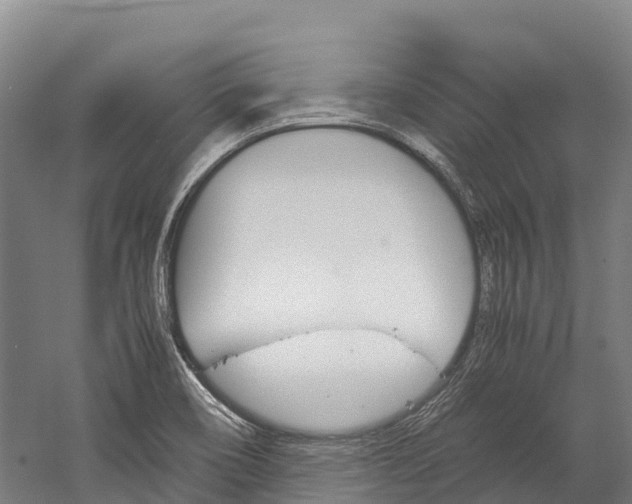 X0000060231466200510280925