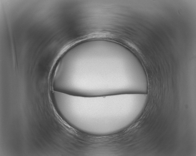 X0000060231467200510280925