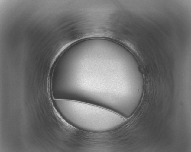 X0000060231468200510280925