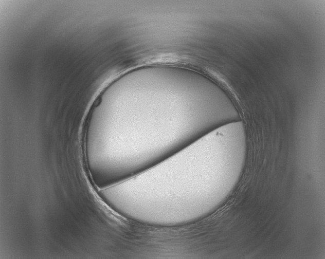 X0000060231475200510280925