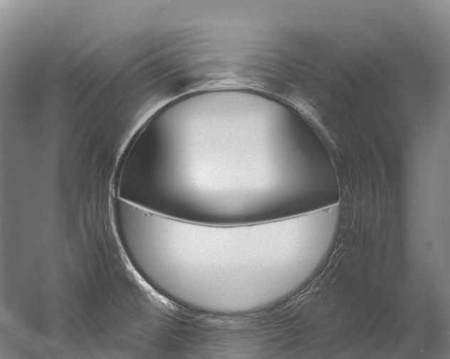 X0000060231476200510280925