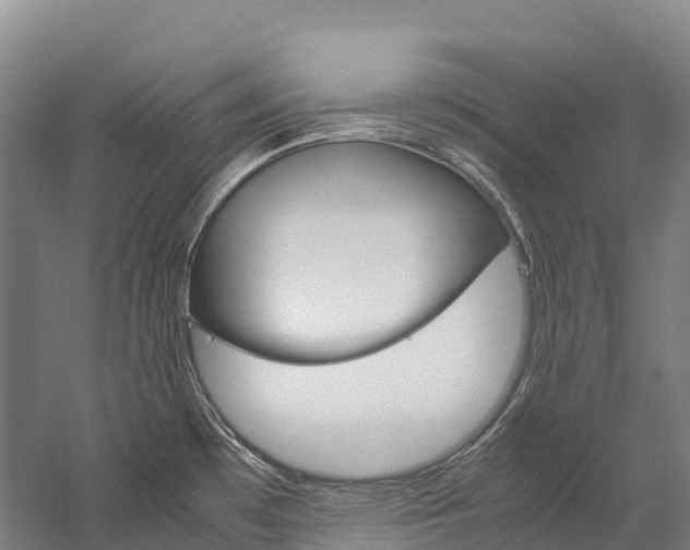X0000060231481200510280925