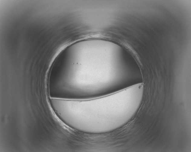 X0000060231483200510280925