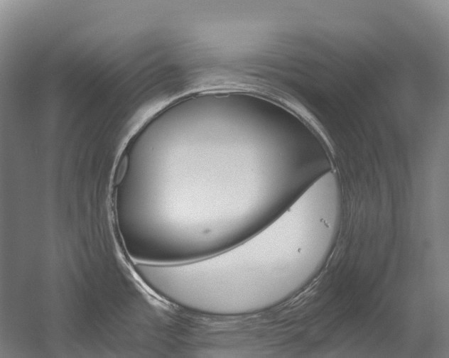 X0000060231485200510280925