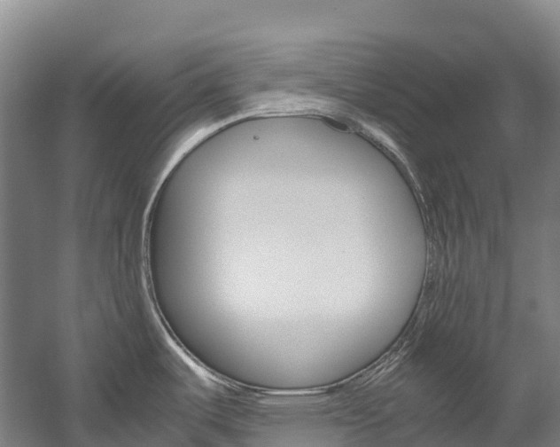 X0000060231487200510280925