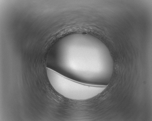 X0000060231490200510280924