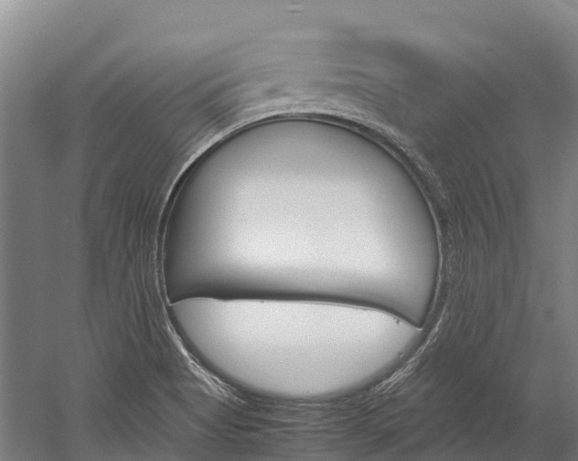 X0000060231513200510280924